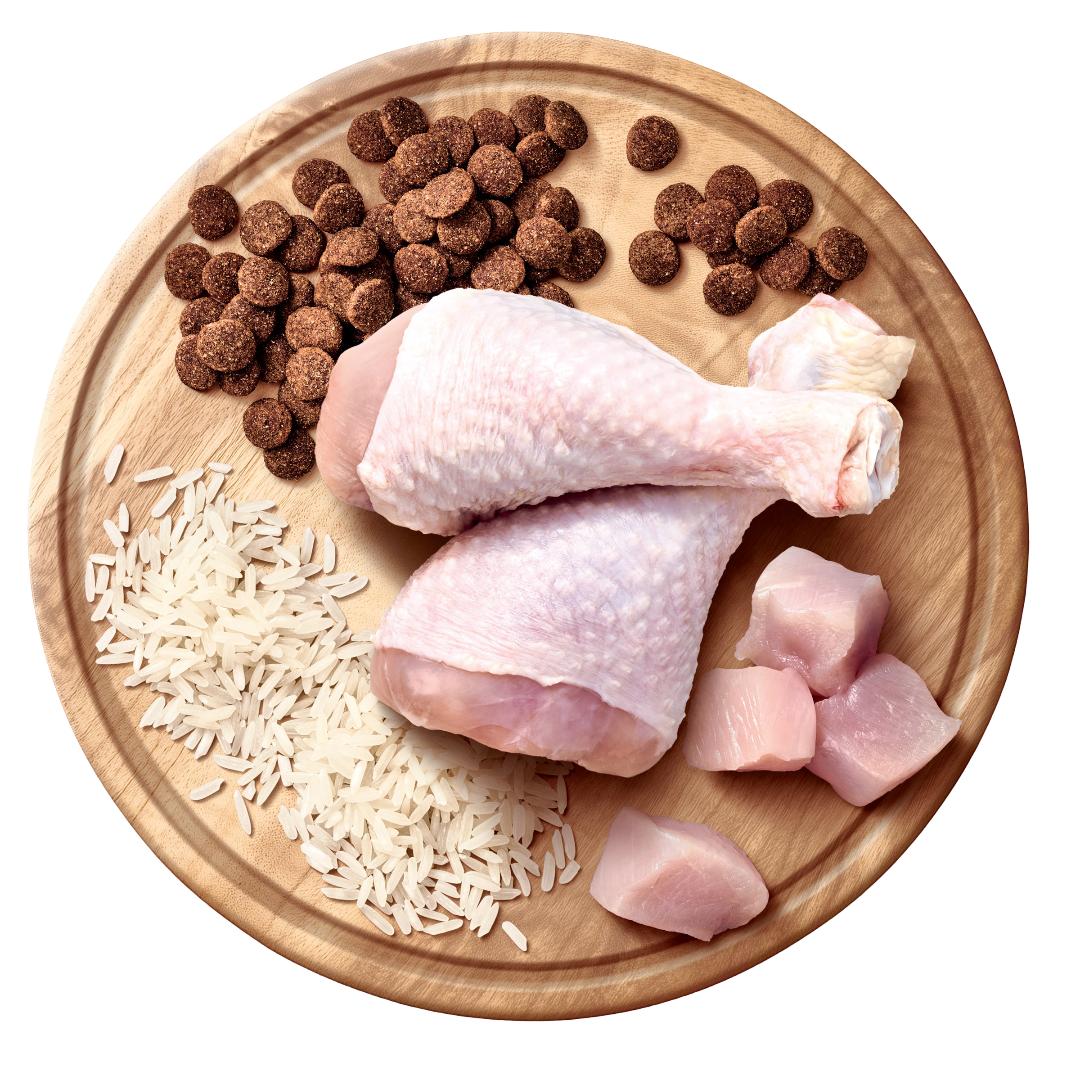 Advance All Breed Chicken and Rice Adult Dog Dry Food 20kg - Image 3