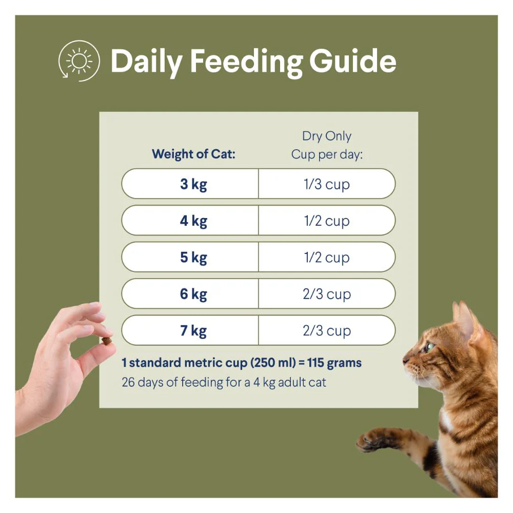 Advance Chicken Adult Cat Dry Food 500g - Image 3