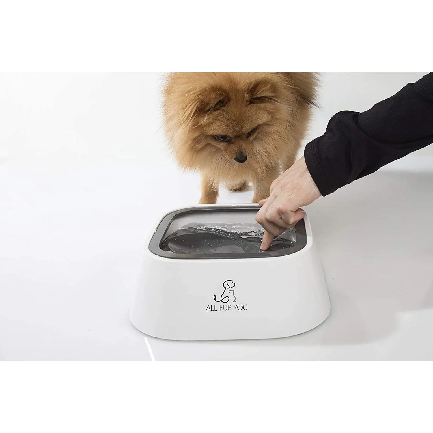 All Fur You Anti-Splash Dog Water Bowl 2L - Image 3