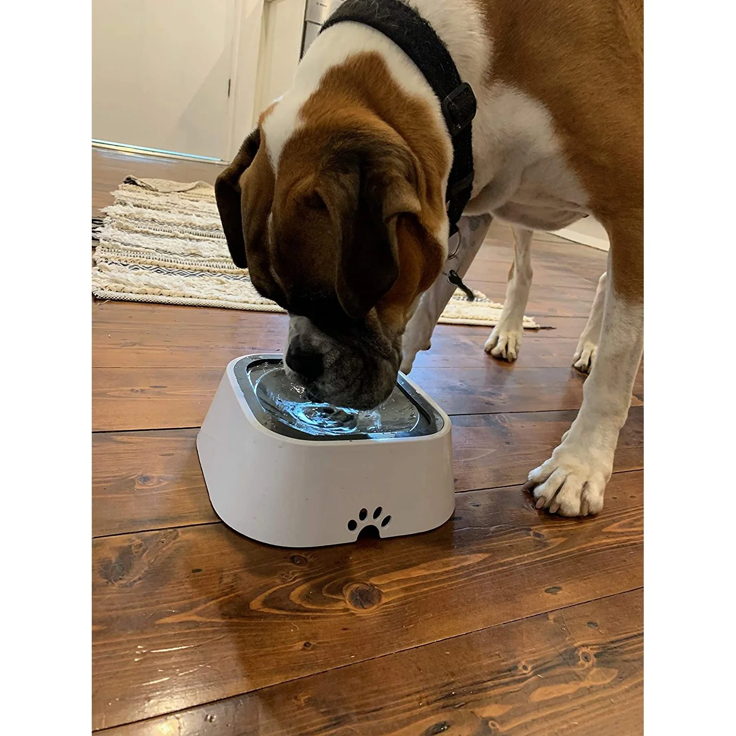 All Fur You Anti-Splash Dog Water Bowl 2L - Image 4