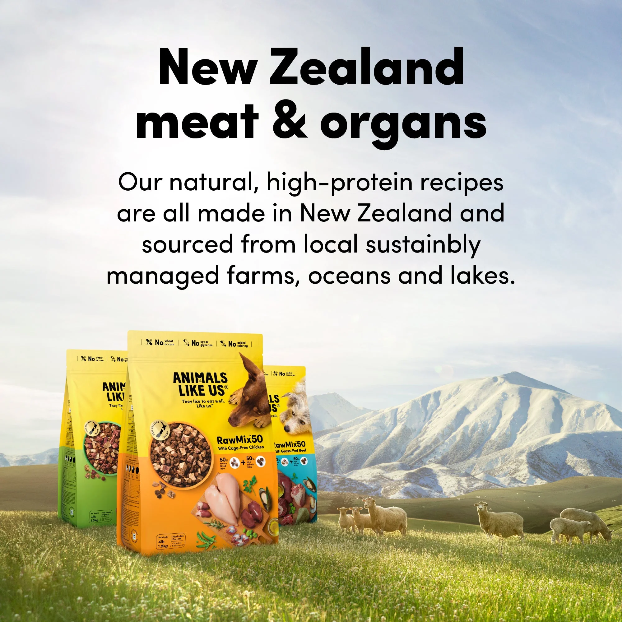 Animals Like Us RawMix50 with Grass-Fed Freeze Dried Lamb and Kibble Mix Dry Dog Food 1.8kg - Image 11