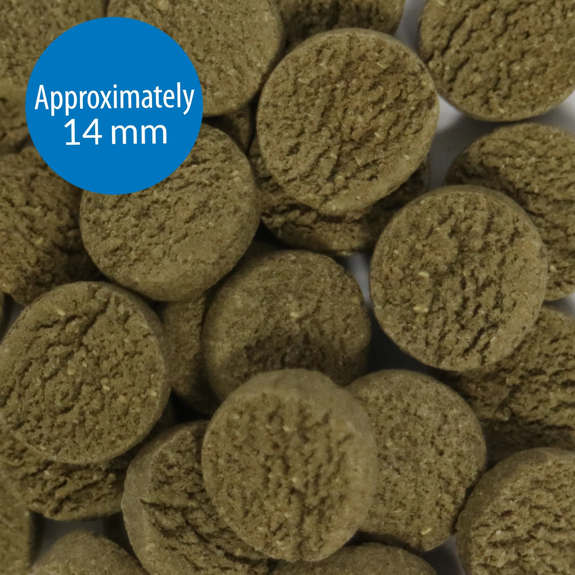 API Algae Wafers 37g - Image 2