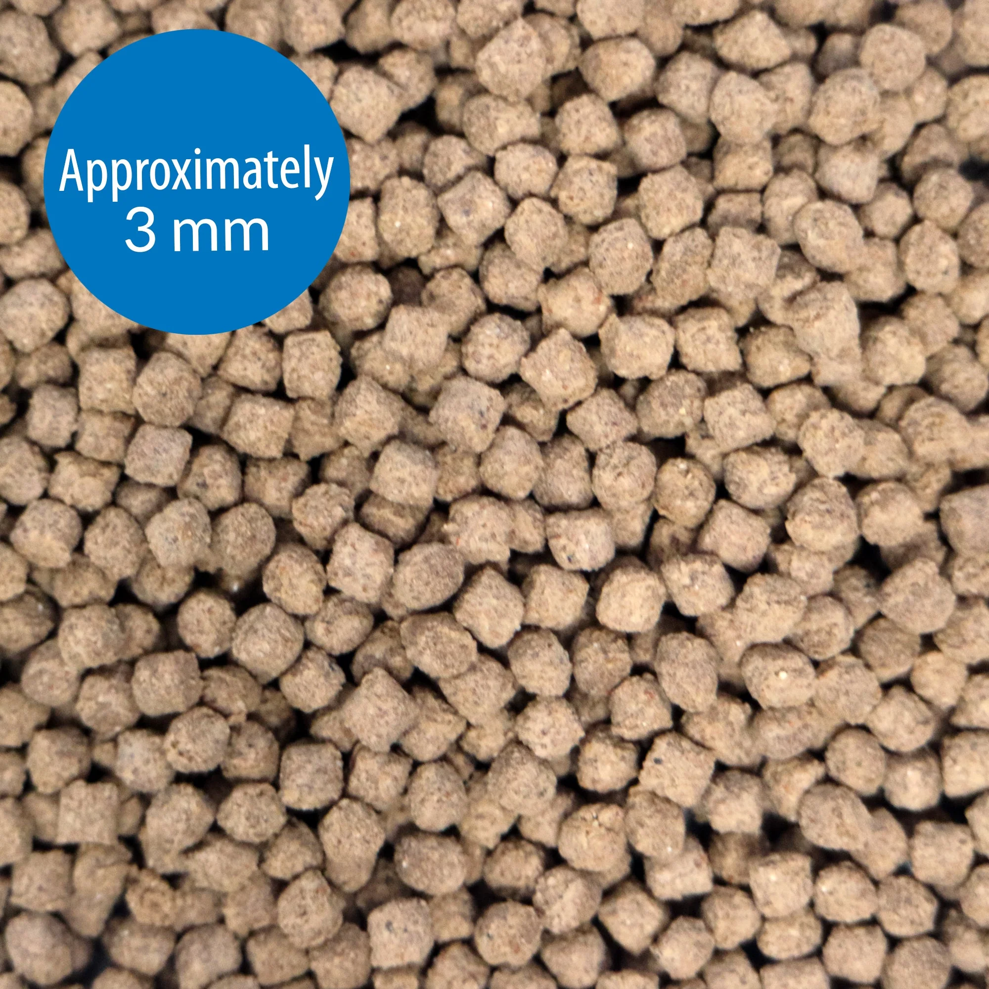 API Bottom Feeder Squid Pellets 113g - Image 2