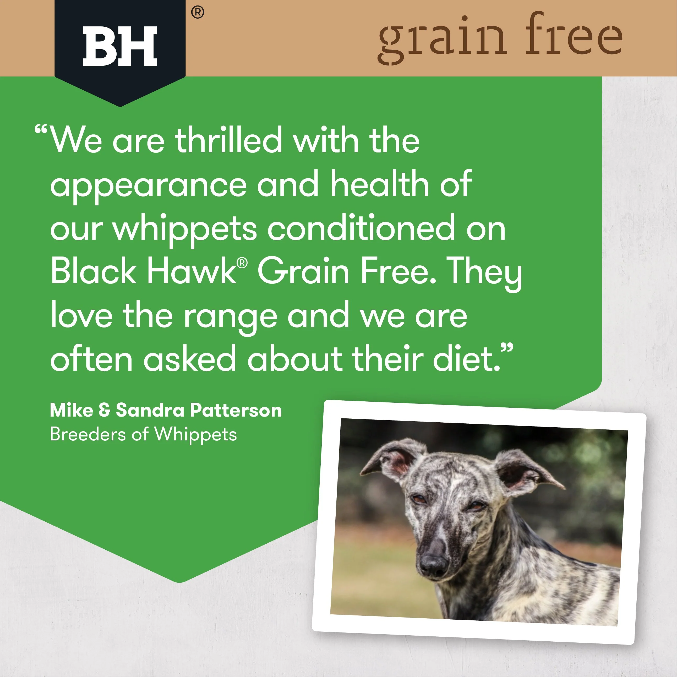 Black Hawk Grain Free Chicken Dry Dog Food 7kg - Image 5