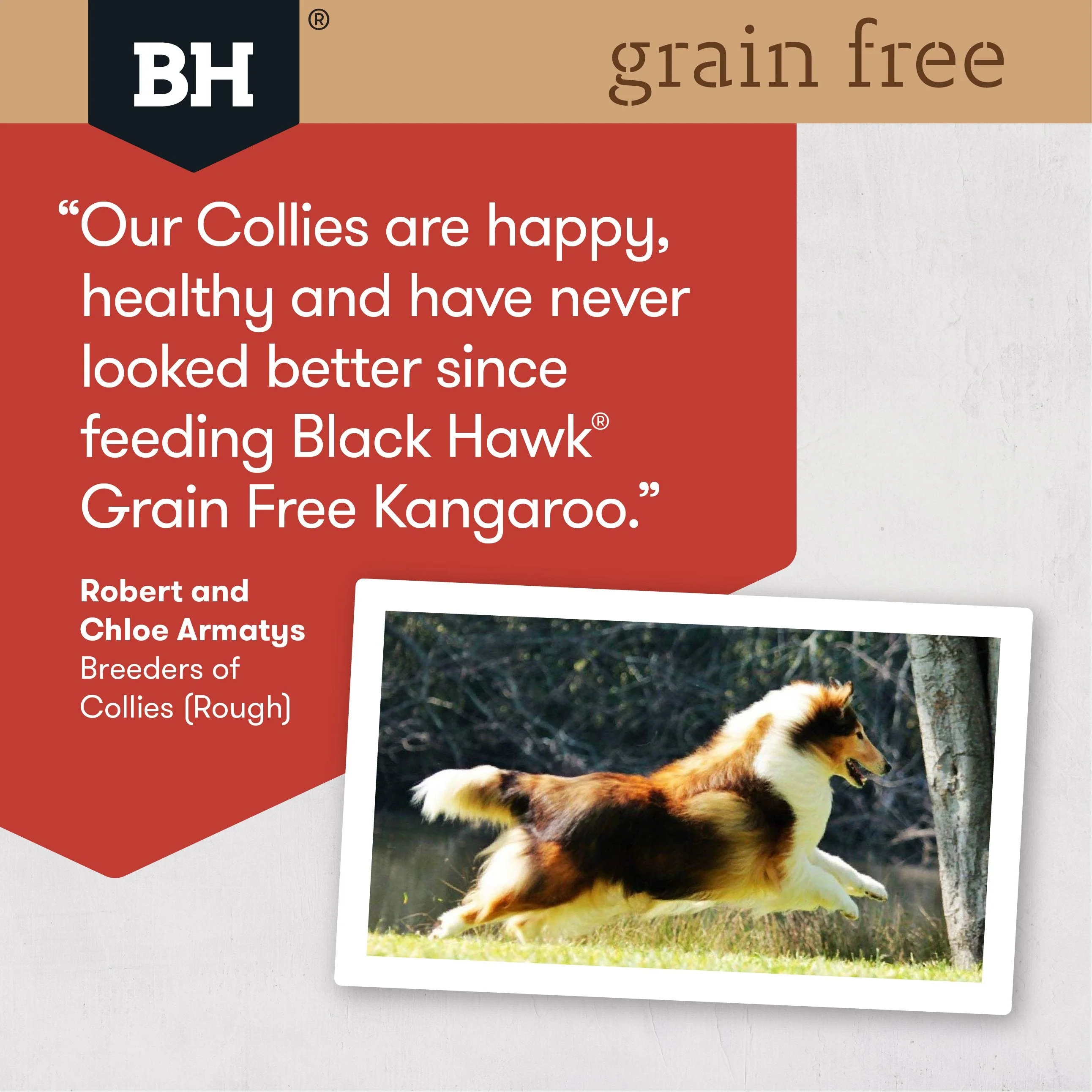 Black Hawk Grain Free Wild Kangaroo Dry Dog Food 15kg - Image 5