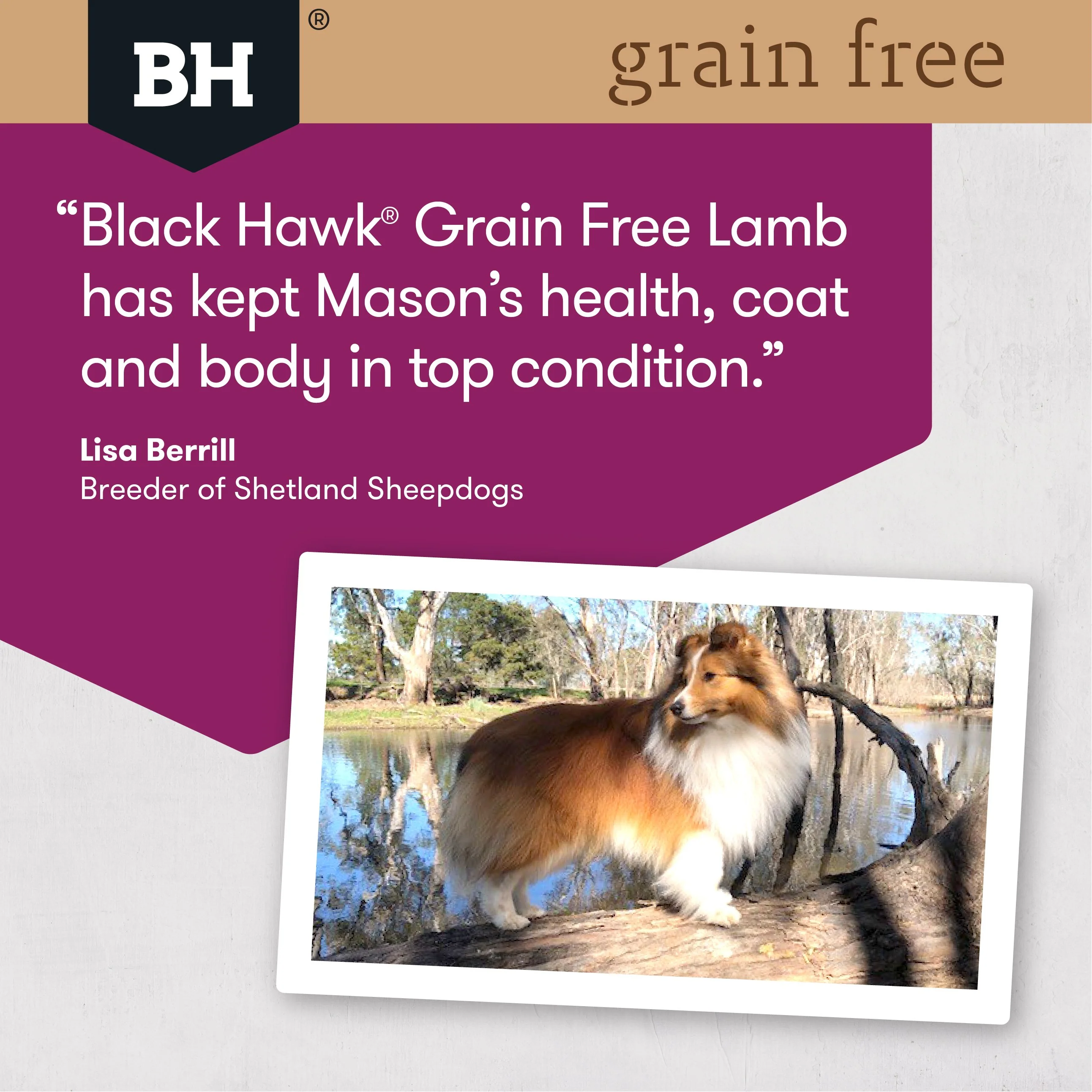Black Hawk Grain Free Lamb Dry Dog Food 7kg - Image 5