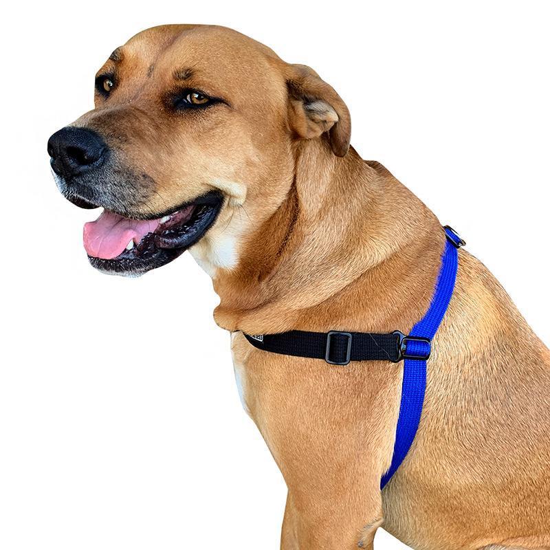 Black Dog Wear Balance Harness Red Extra Large - Image 3