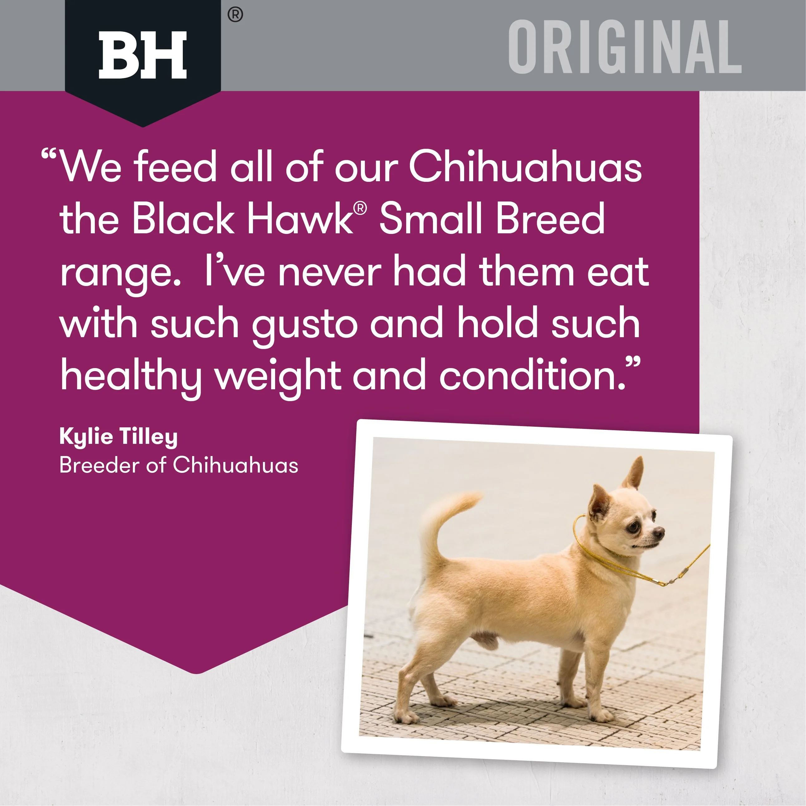 Black Hawk Original Lamb and Rice Small Breed Dry Dog Food 10kg - Image 5
