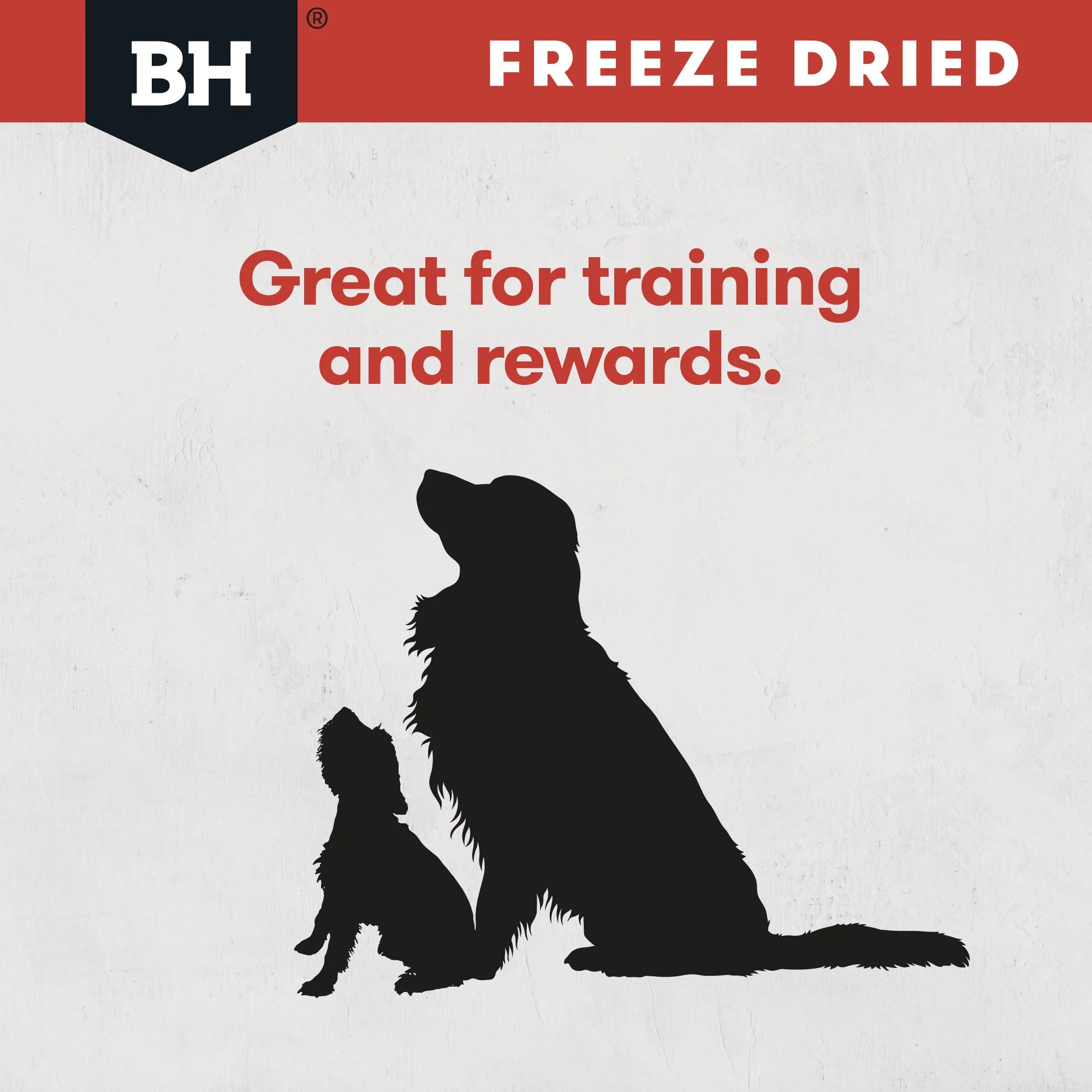 Black Hawk Freeze Dried Kangaroo Dog Treats 40g - Image 10