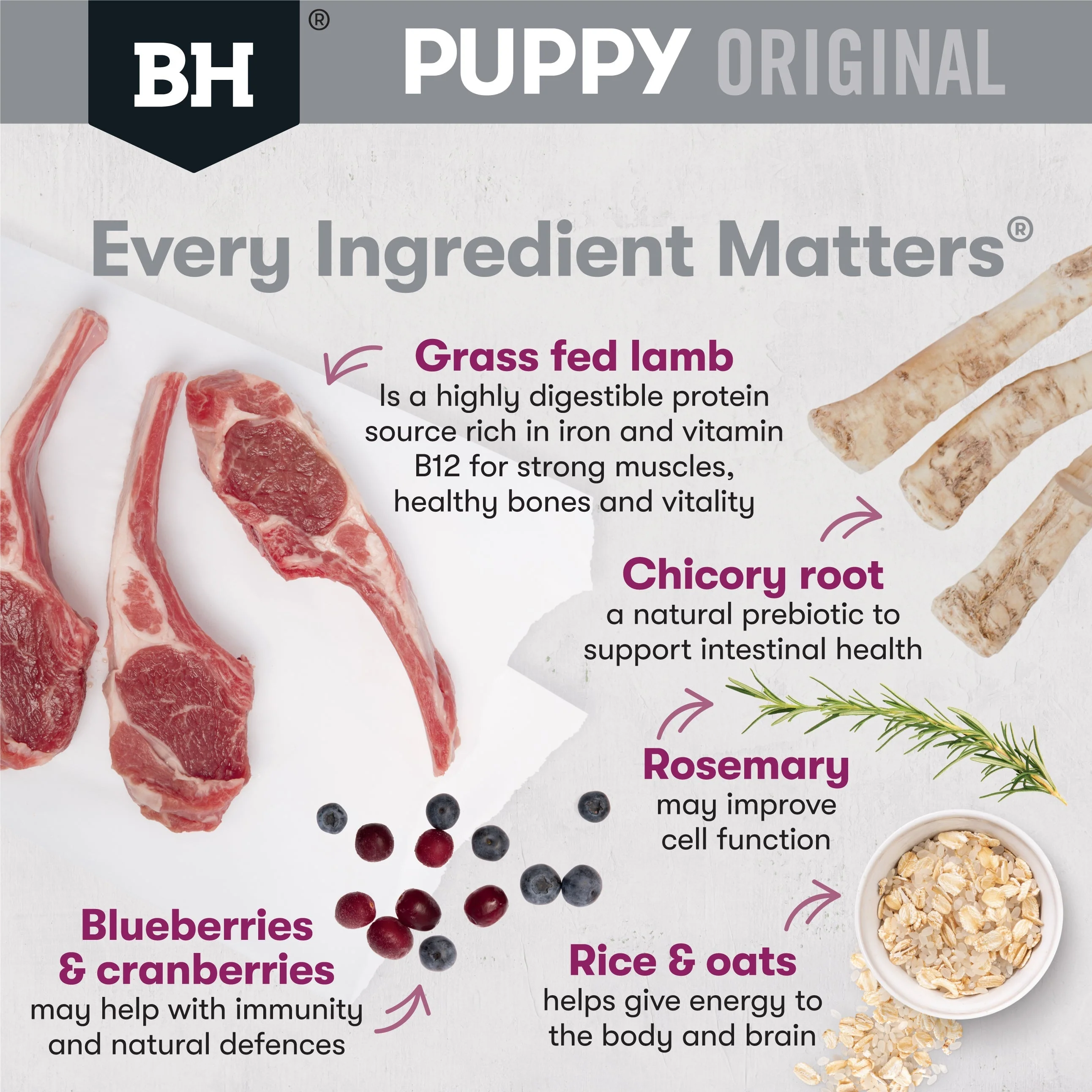 Black Hawk Lamb and Rice Medium Breed Puppy Dry Dog Food 20kg - Image 4