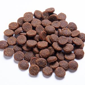 Blackdog Ocean Fish Salmon Rice and Vegetables Adult Dry Dog Food 2.5kg - Image 4