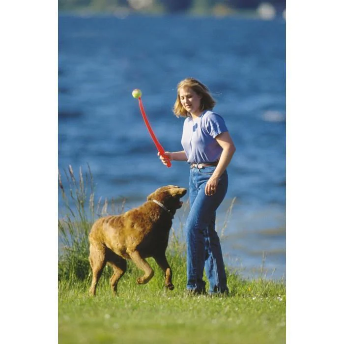Chuckit Classic Ball Launcher 26M Dog Toy - Image 2