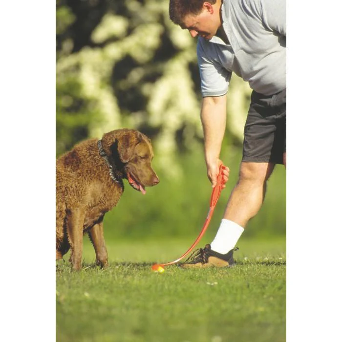 Chuckit Classic Ball Launcher 26M Dog Toy - Image 3