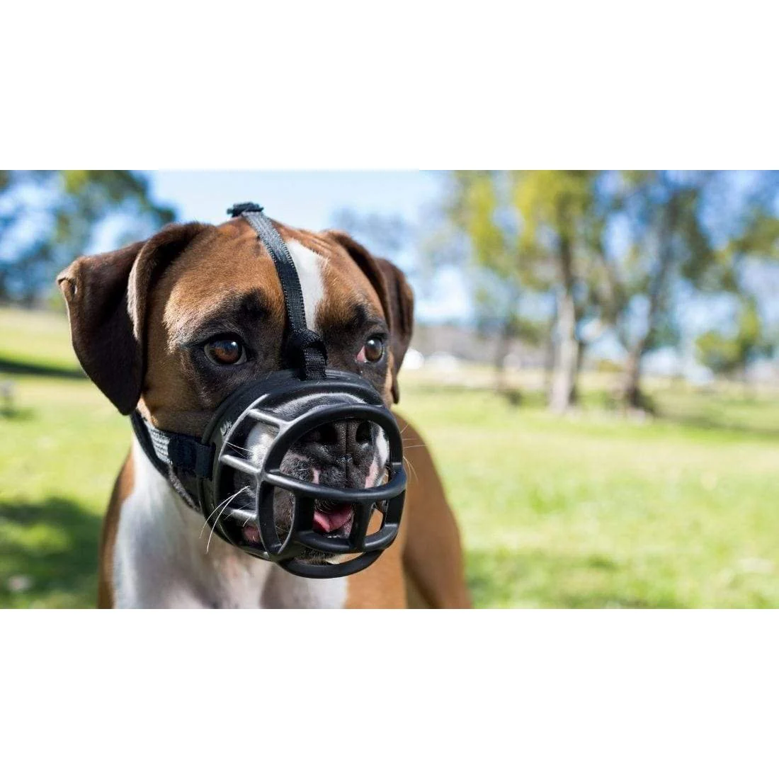 Company of Animals Baskerville Ultra Dog Muzzle Size 2 - Image 8