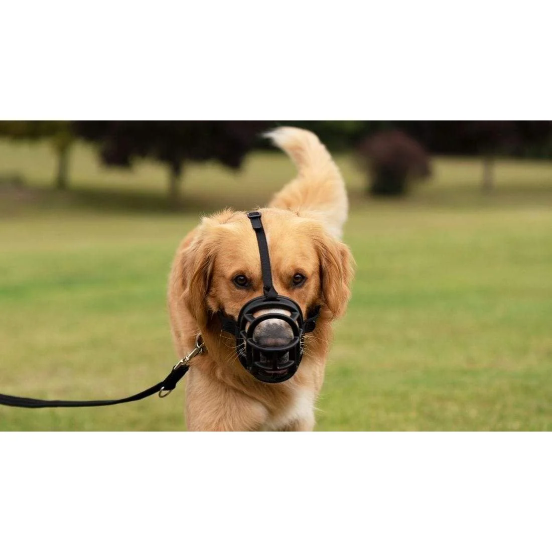 Company of Animals Baskerville Ultra Dog Muzzle Size 3 - Image 7