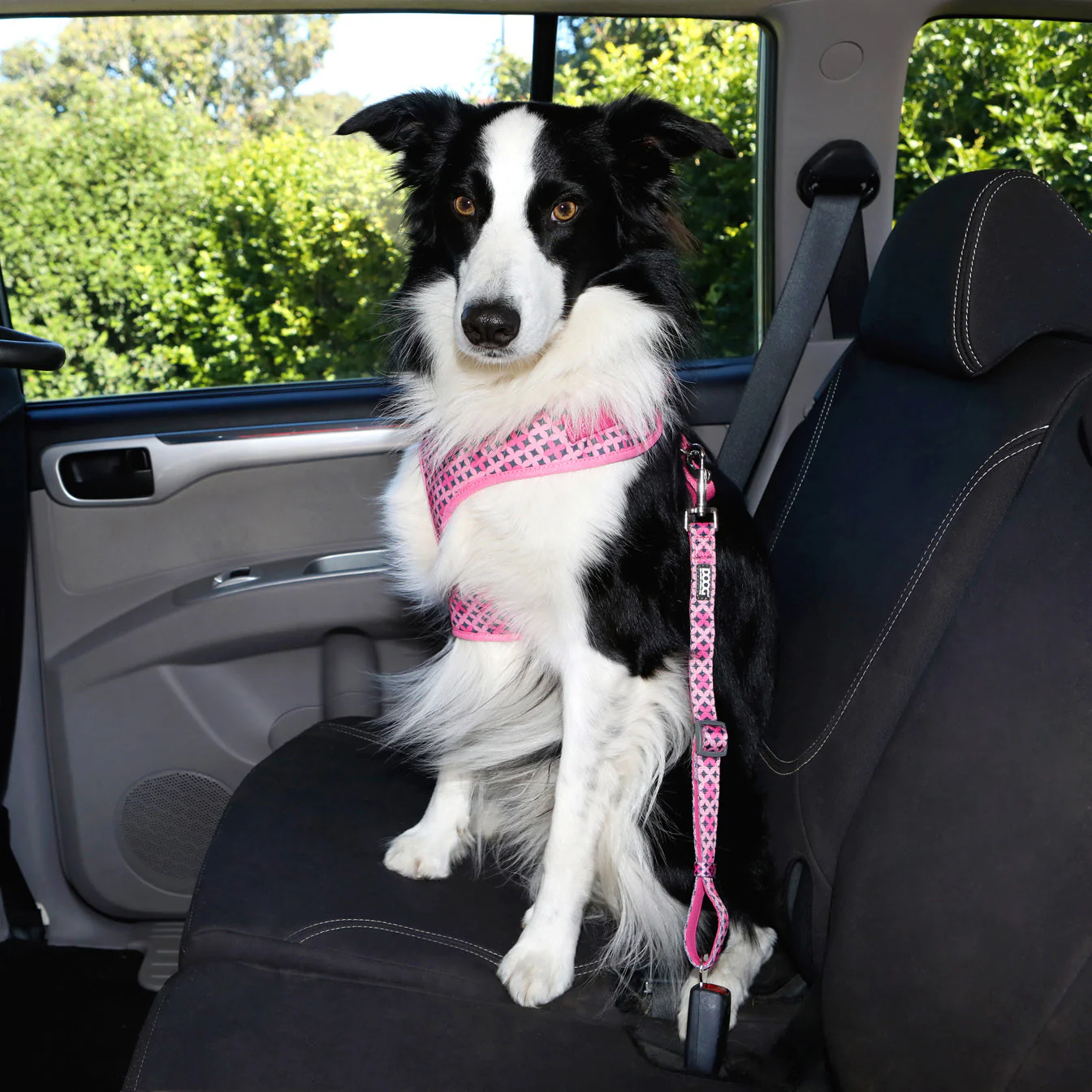 Doog Car Restraint Scooby - Image 2