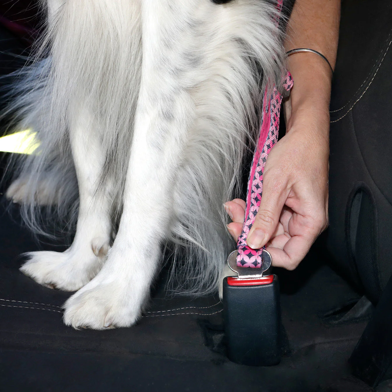 Doog Car Restraint Scooby - Image 4