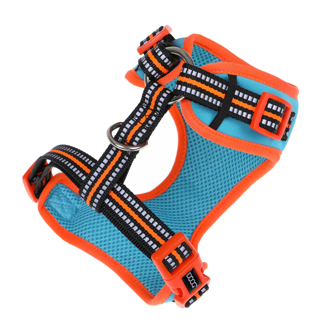 DOOG Neoflex Neoprene Beethoven Neon Blue and Orange Dog Harness Medium - Image 3