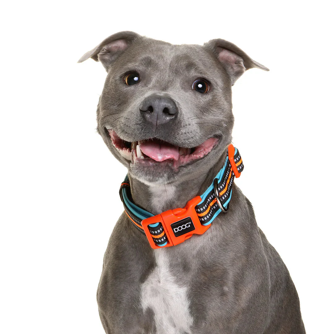 DOOG Neoprene Beethoven Neon Blue and Orange Dog Collar Large - Image 2