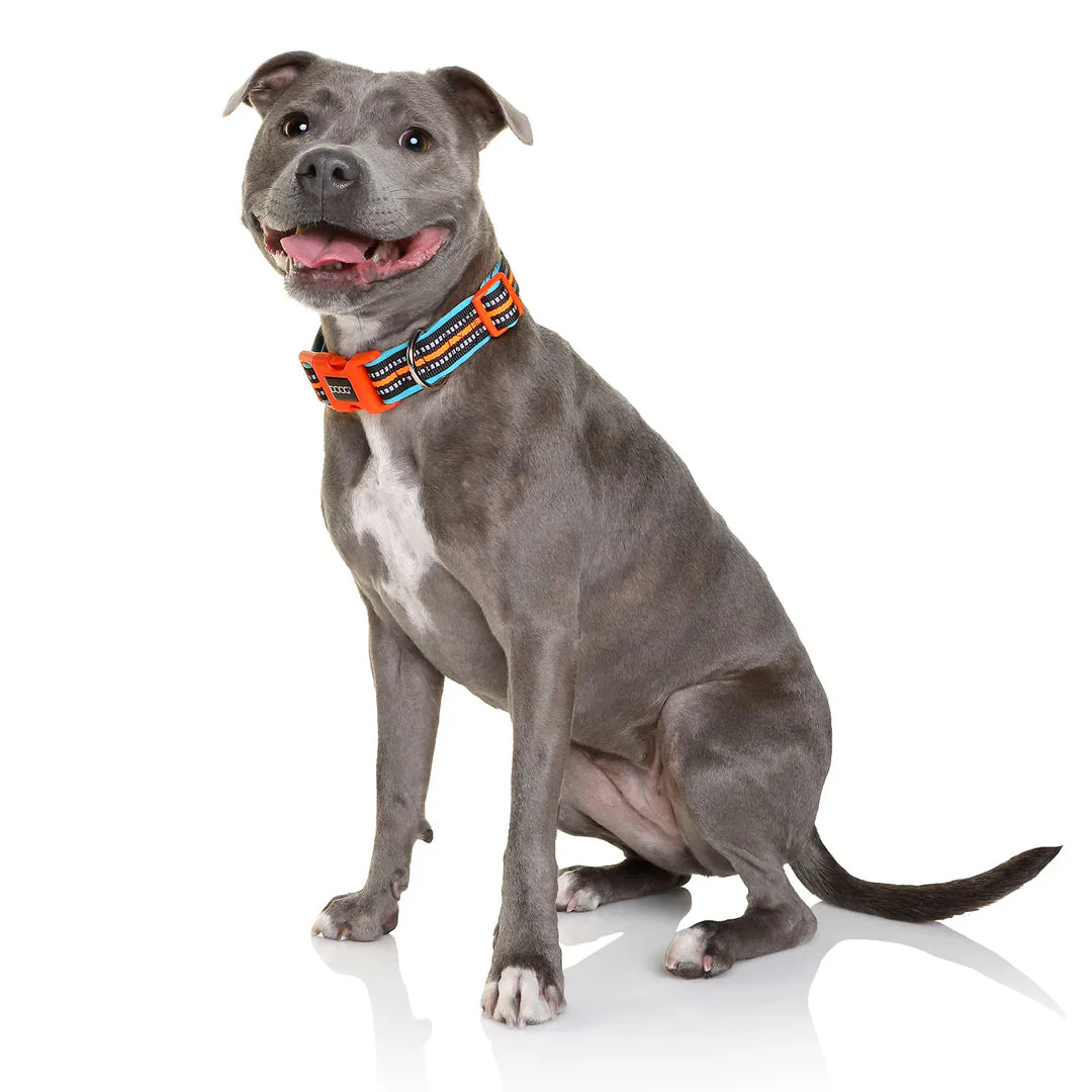 DOOG Neoprene Beethoven Neon Blue and Orange Dog Collar Medium - Image 3