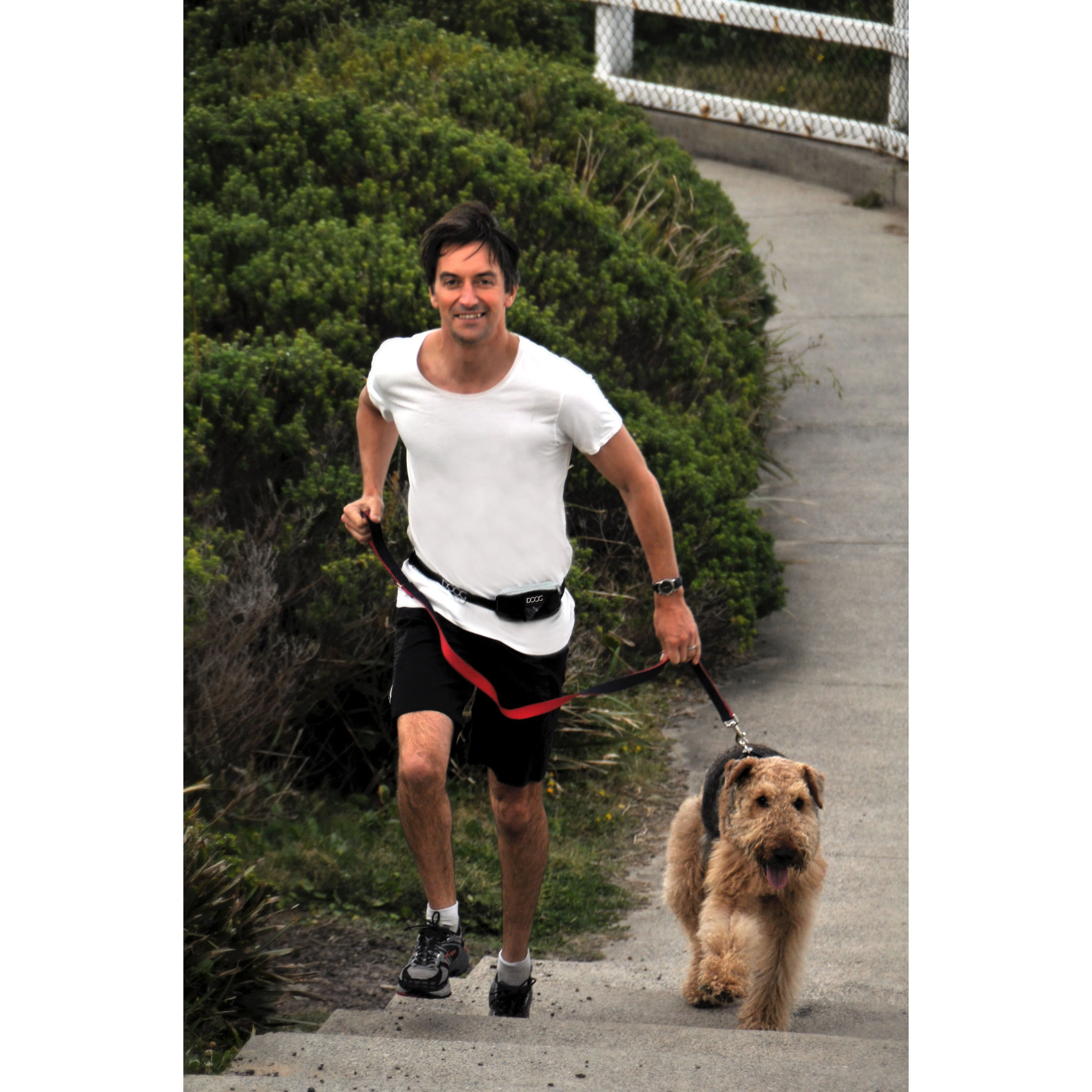 Doog Walkie Belt Mini Black - Image 3