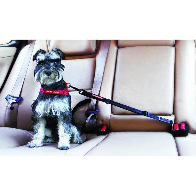 EzyDog Click Adjustable Dog Car Restraint - Image 2