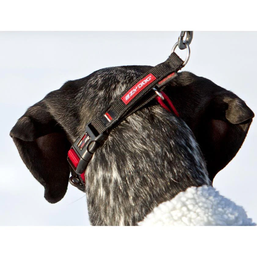 EzyDog Checkmate Dog Collar Black Large - Image 2