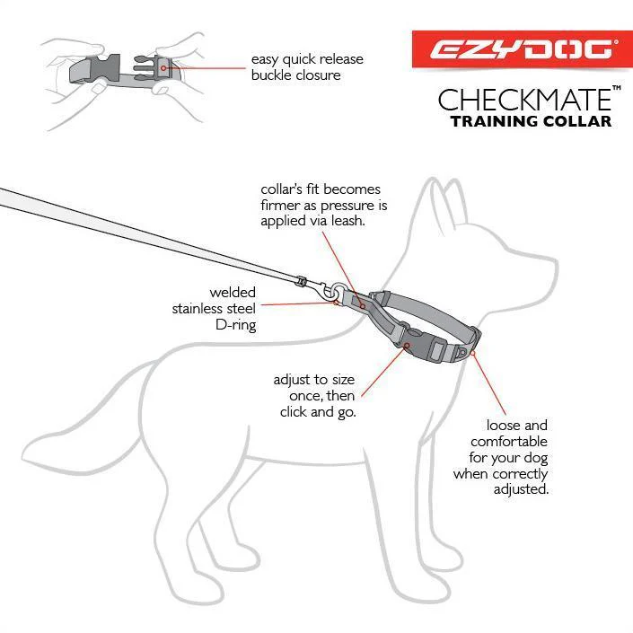 EzyDog Checkmate Dog Collar Black Medium - Image 3