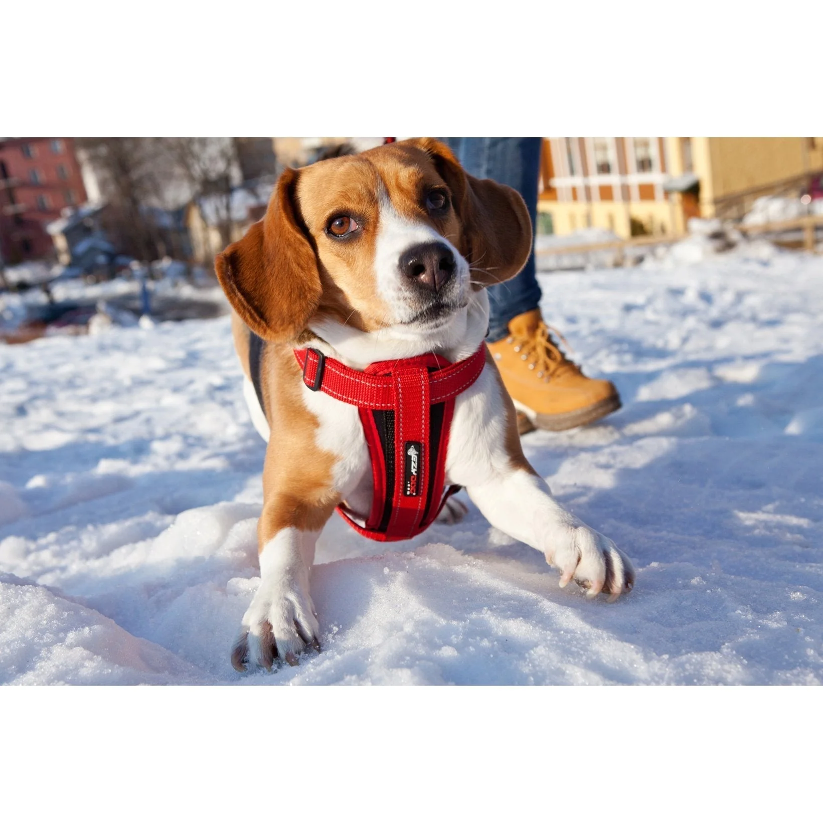 EzyDog Chestplate Dog Harness Black Medium - Image 3