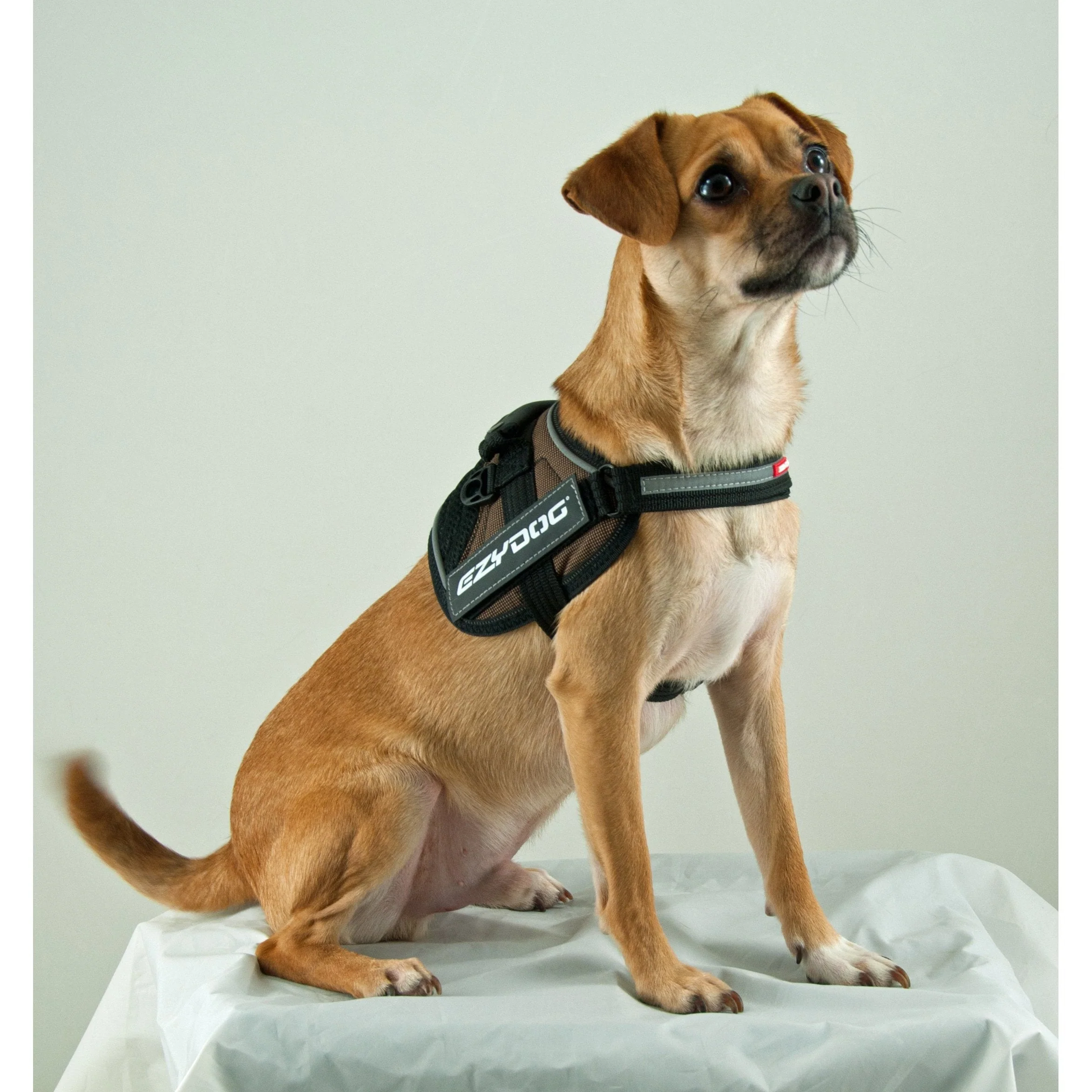 Ezydog Convert Dog Harness Charcoal Extra Large - Image 2