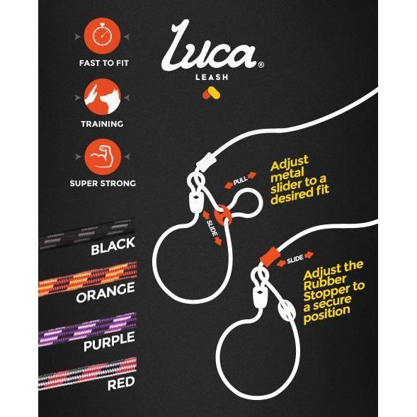 Ezydog Luca Dog Leash 8mm Black - Image 3