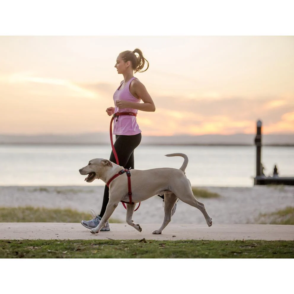 Ezydog Road Runner Dog Leash 25 Red - Image 5