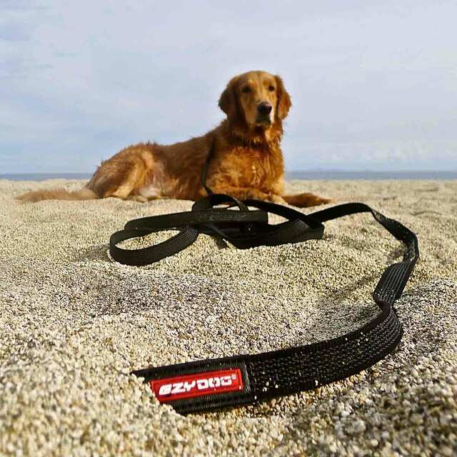 Ezydog Track N Train Dog Leash 19 Black - Image 2