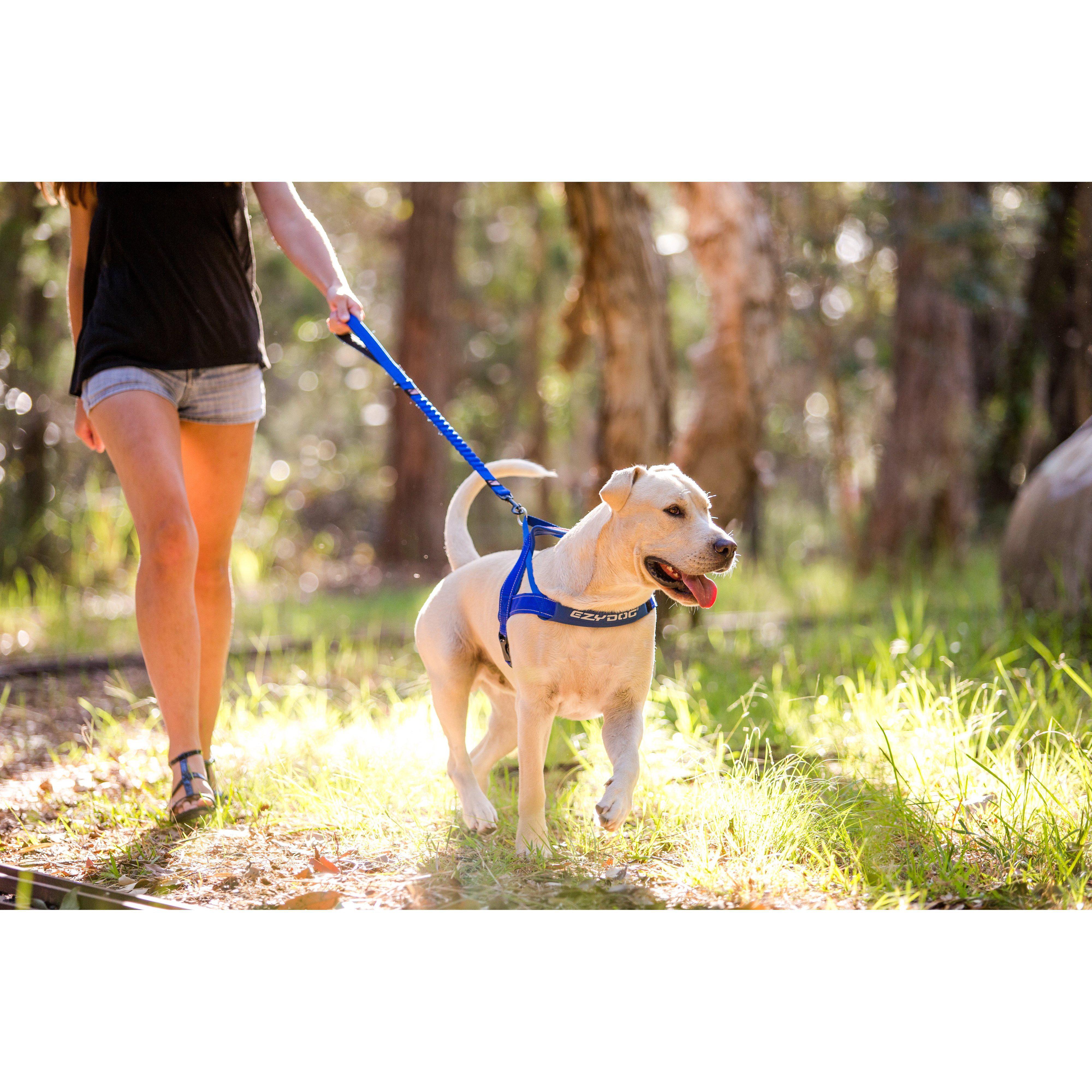 Ezydog Zero Shock Dog Leash 48 Black - Image 5