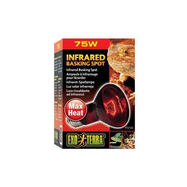 Exo Terra Heat Glo Infrared Basking Spot Lamp 75w - Image 2