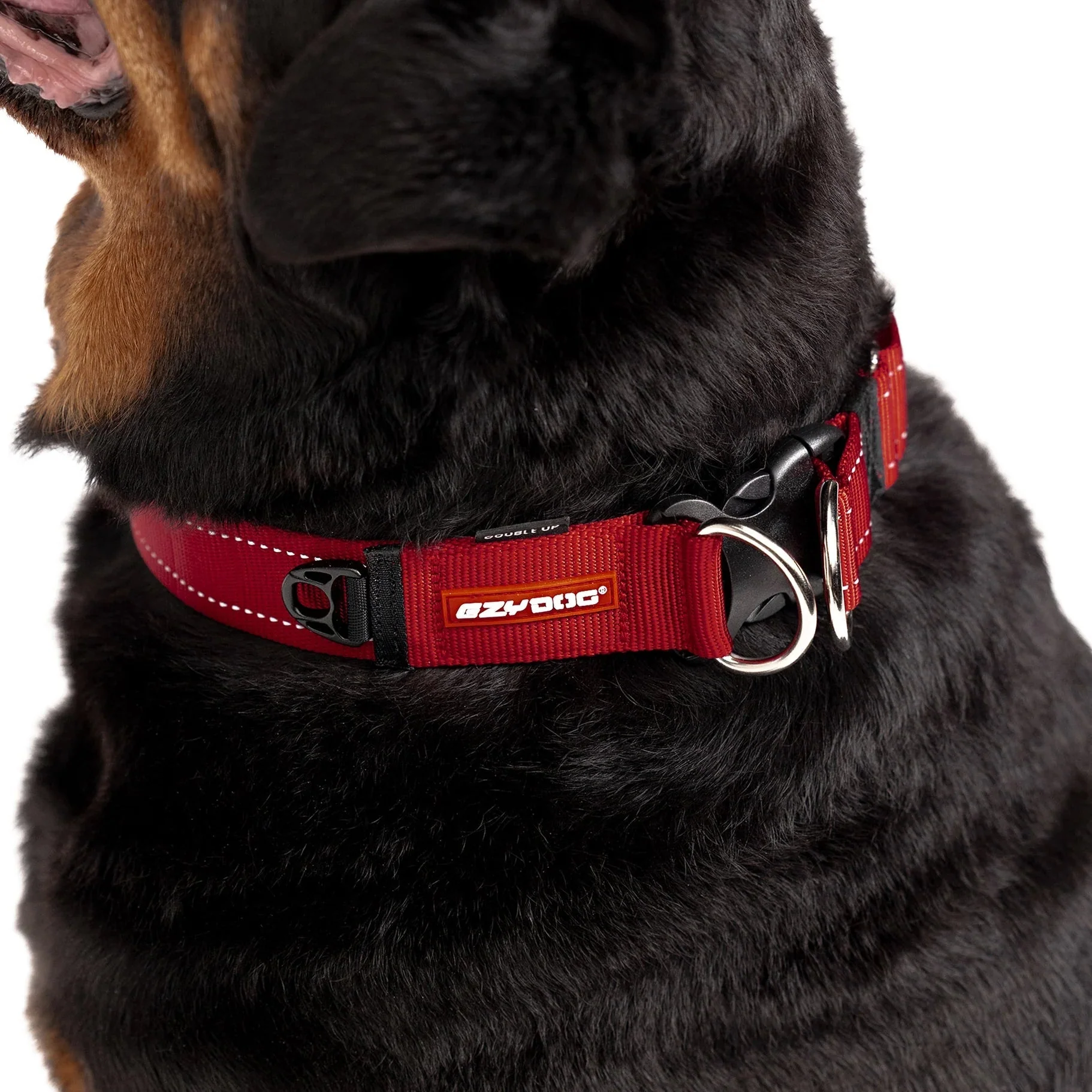 EzyDog Double Up Dog Collar Black Extra Large - Image 5