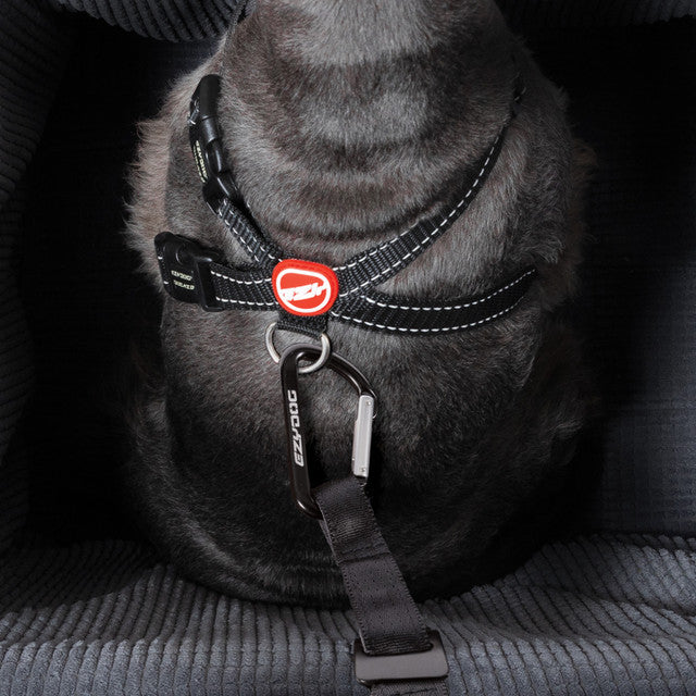 EzyDog Drive Booster Seat for Dogs - Image 10
