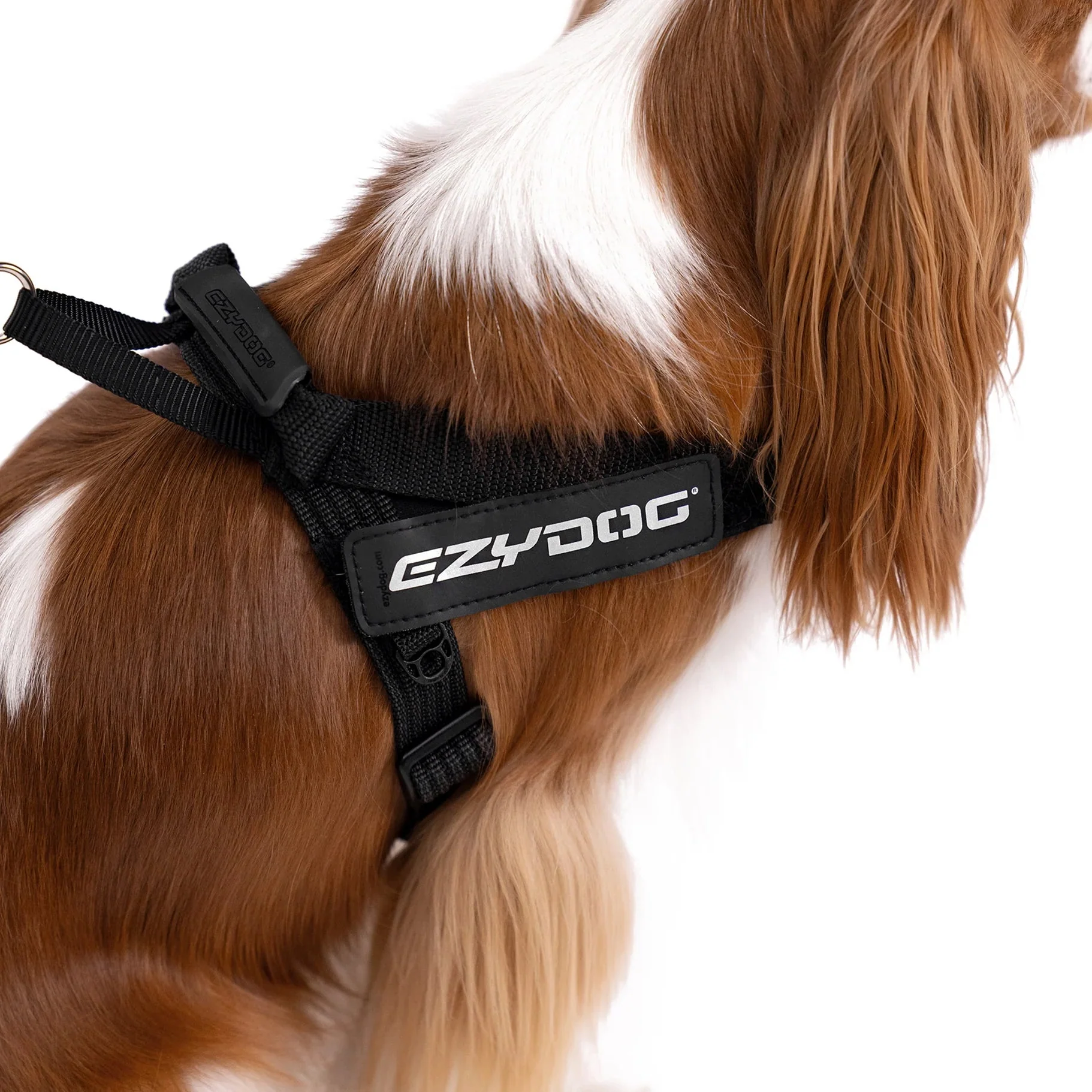 EzyDog Express Blue Dog Harness Large - Image 7
