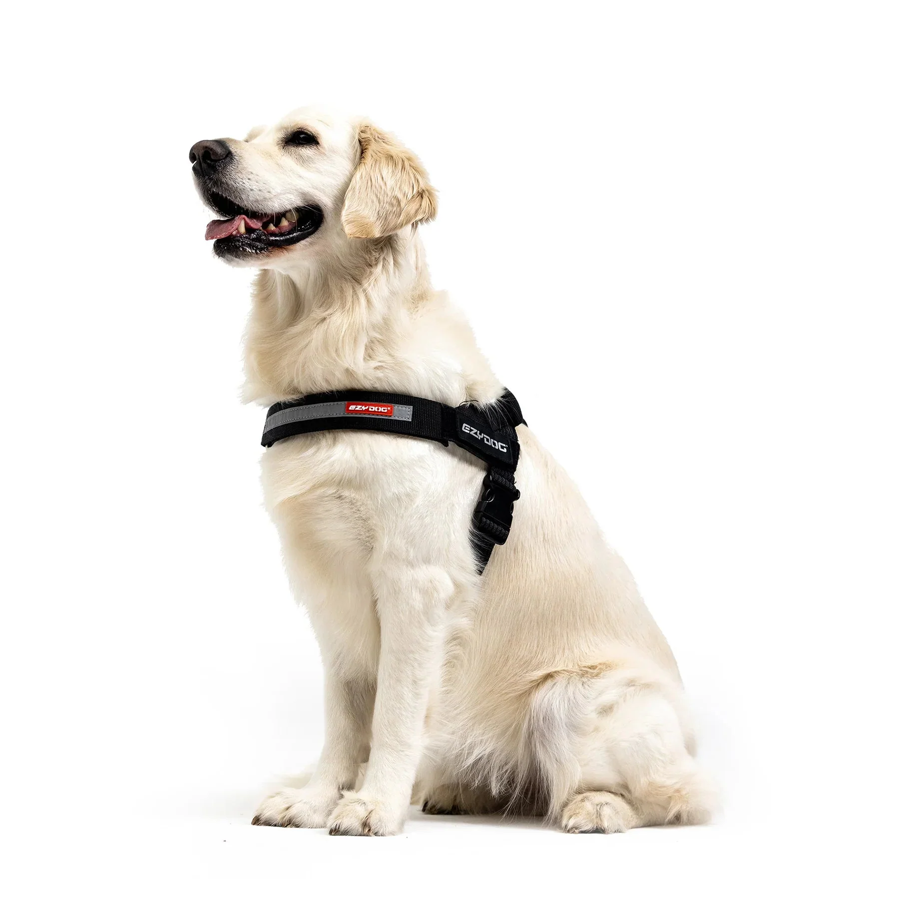 EzyDog Express Pink Dog Harness Extra Large - Image 5