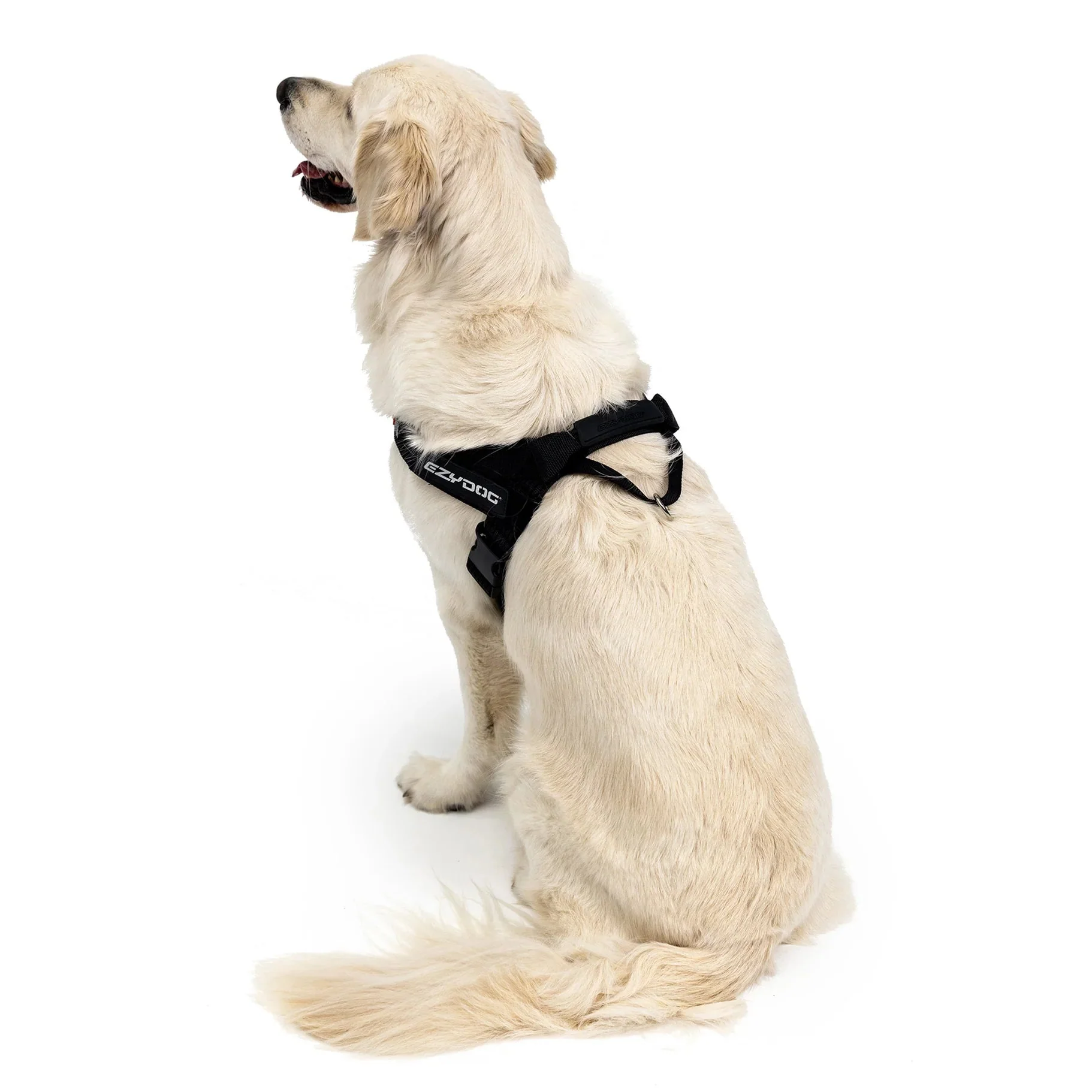 EzyDog Express Pink Dog Harness Small - Image 6
