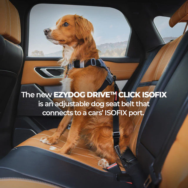 EzyDog Isofix Cargo Click Seat Belt for Dogs - Image 3