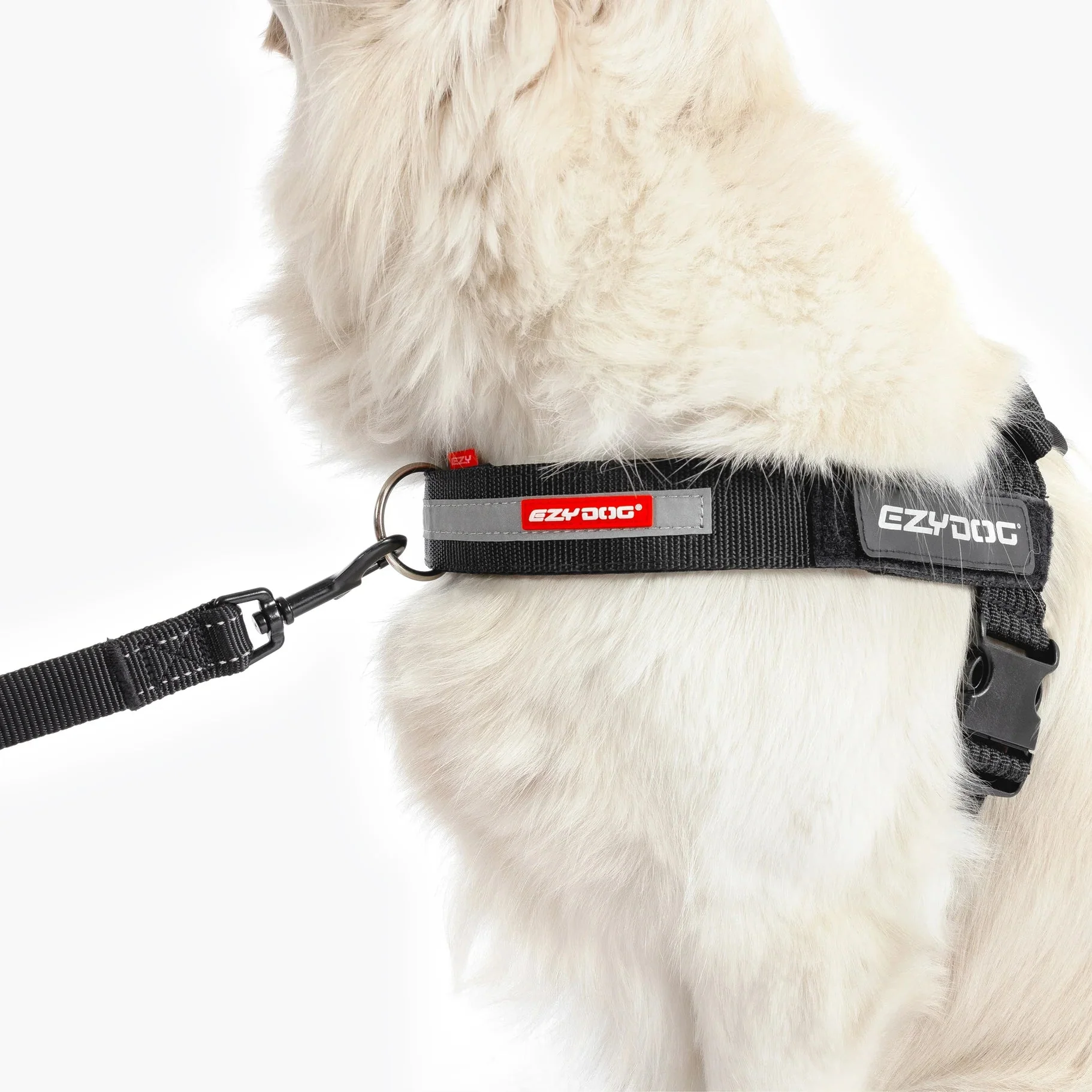 EzyDog Upfront D Ring Accessory for Convert and Express Harness 38mm - Image 4