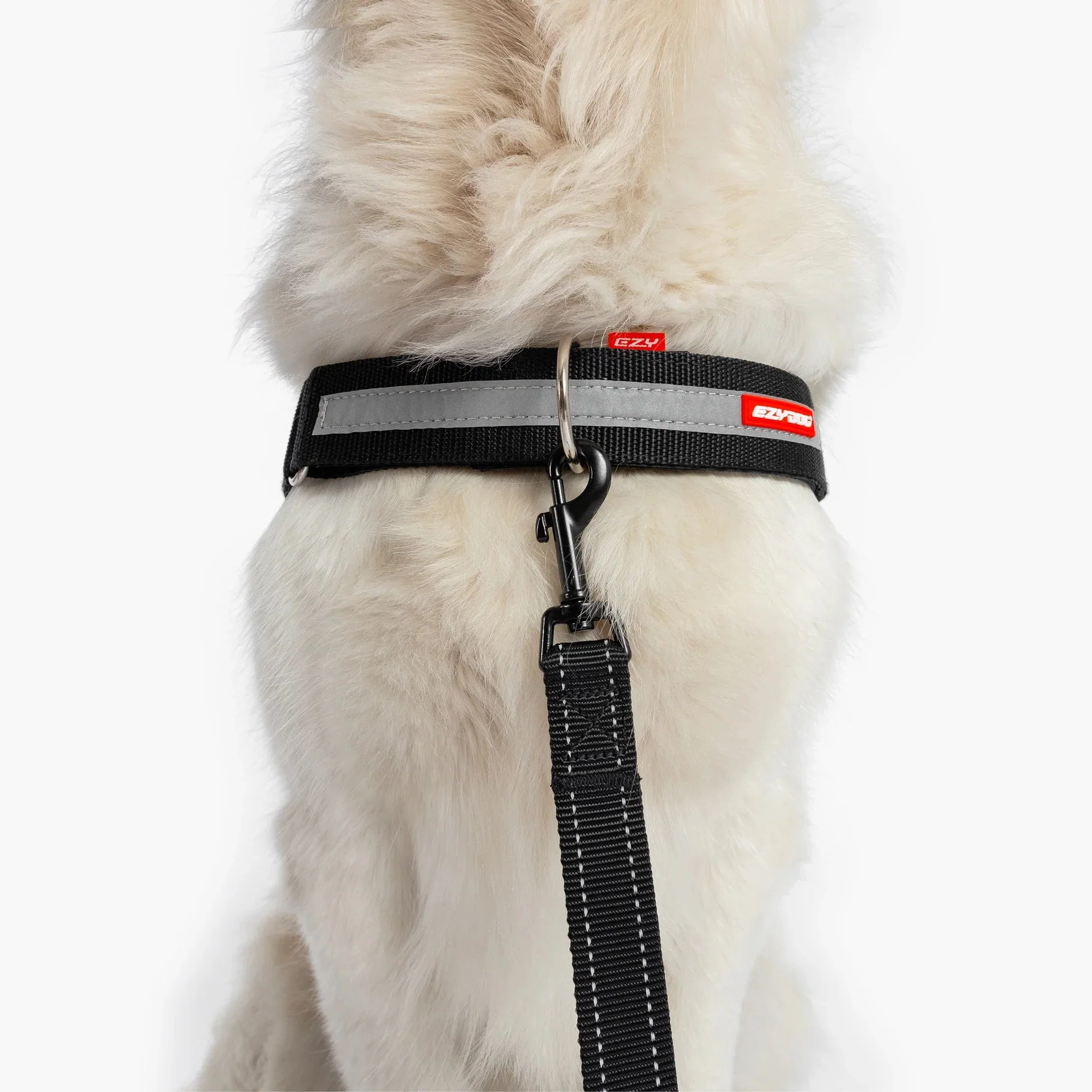 EzyDog Upfront D Ring Accessory for Convert and Express Harness 38mm - Image 5
