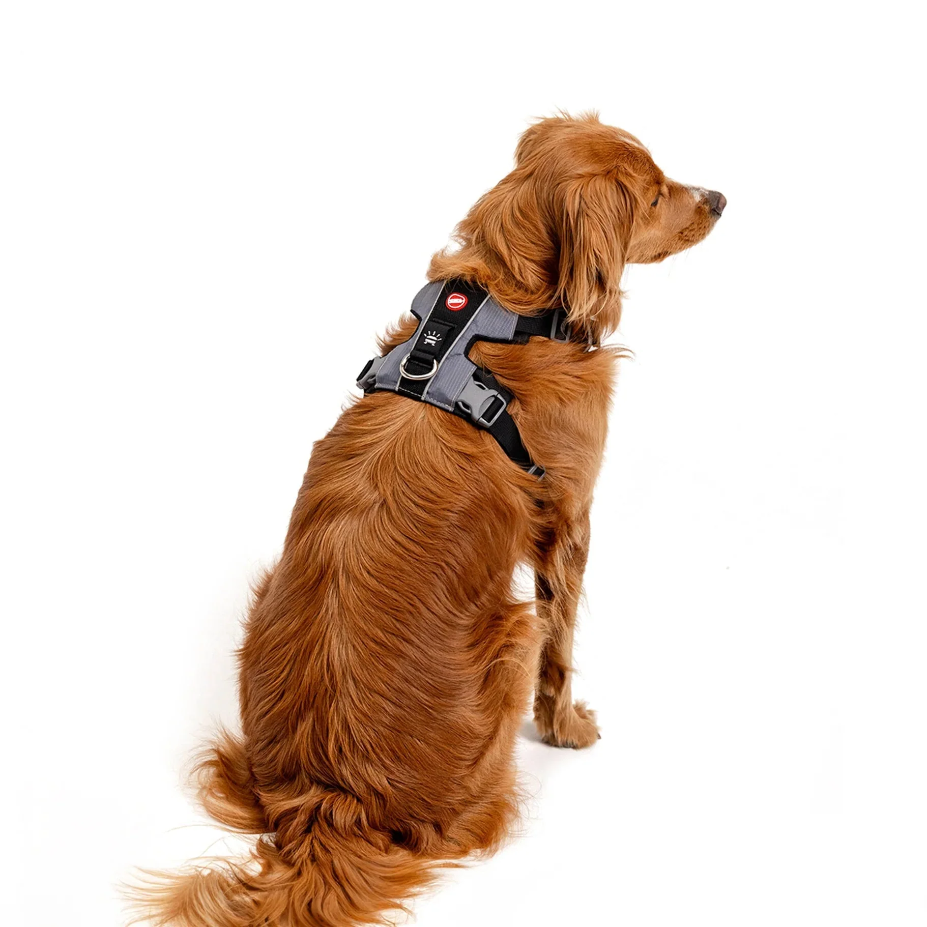 EzyDog X Link Black Dog Harness Large - Image 3