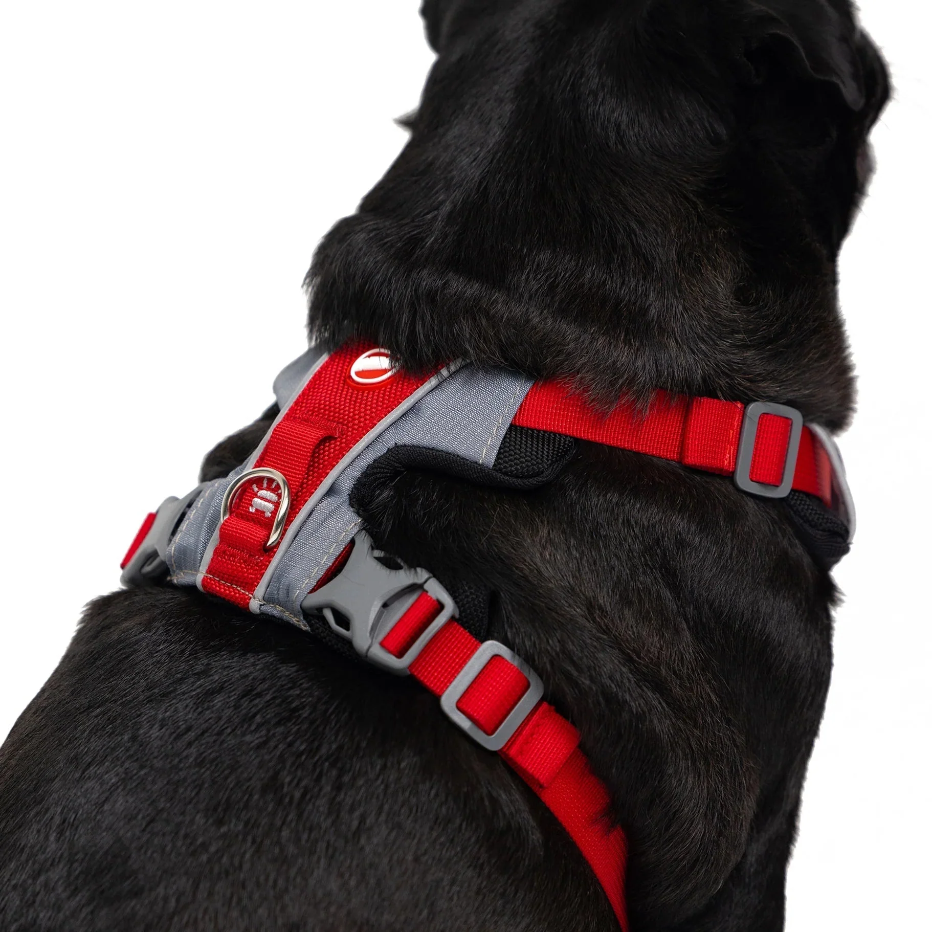 EzyDog X Link Black Dog Harness Medium - Image 6