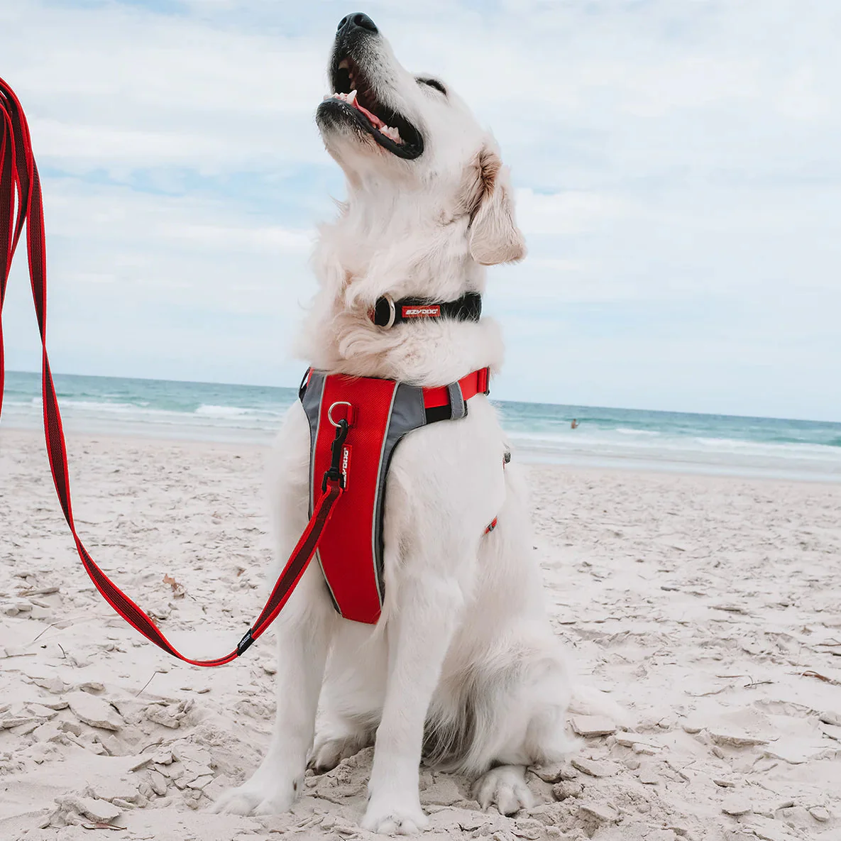 EzyDog X Link Black Dog Harness Medium - Image 8