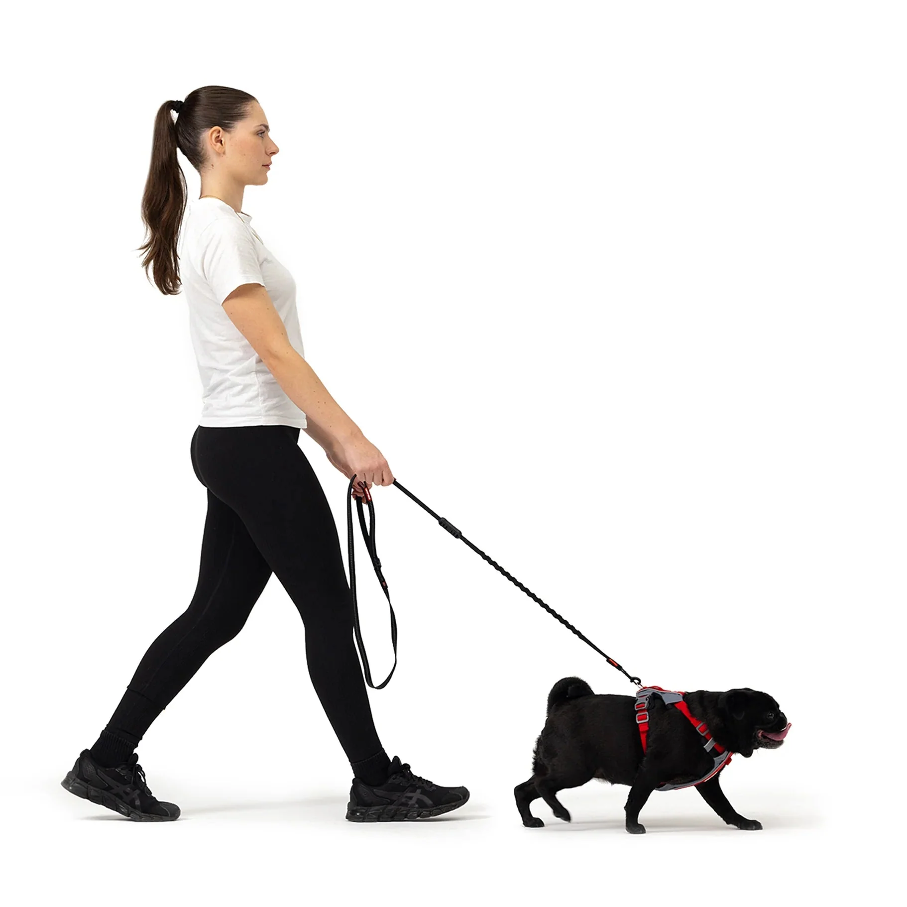 EzyDog X Link Black Dog Harness Small - Image 6
