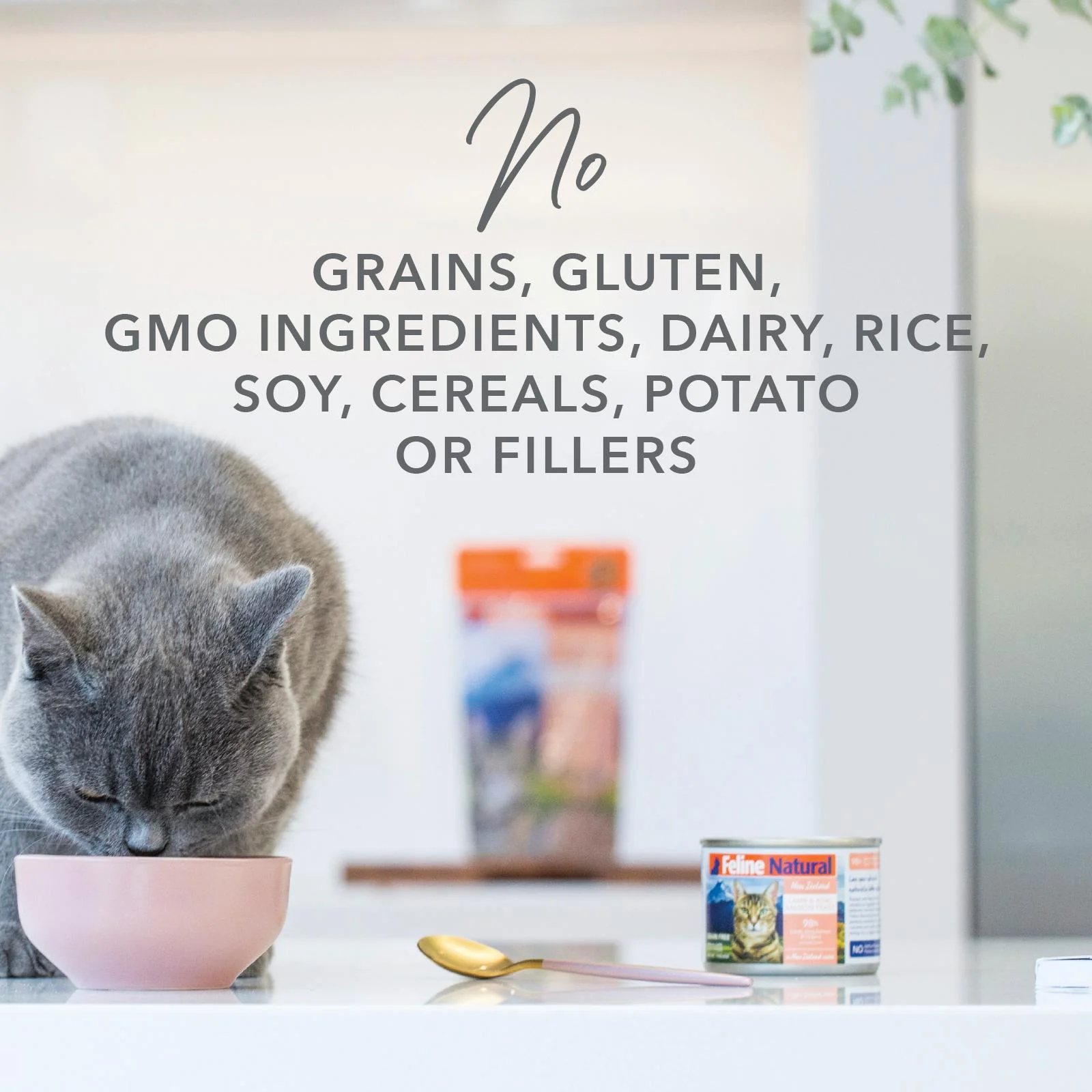 Feline Natural Chicken Feast Wet Cat Food 170g - Image 11
