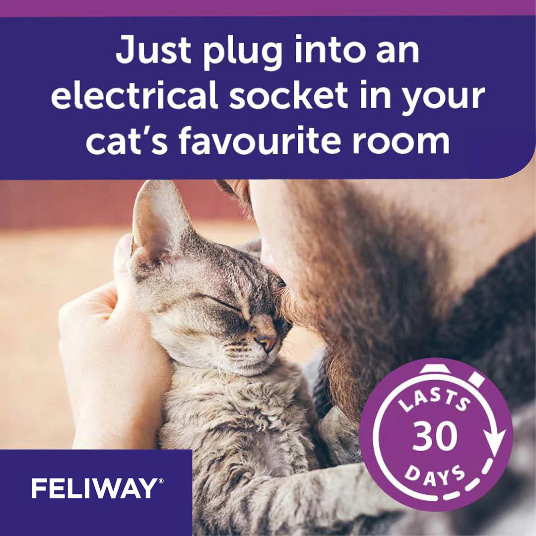 Feliway Pheromone Diffuser Refill for Cats 48ml 3 Pack - Image 5