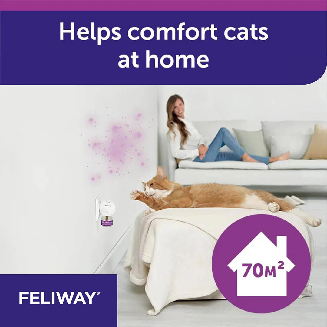 Feliway Pheromone Diffuser Refill for Cats 48ml 3 Pack - Image 6